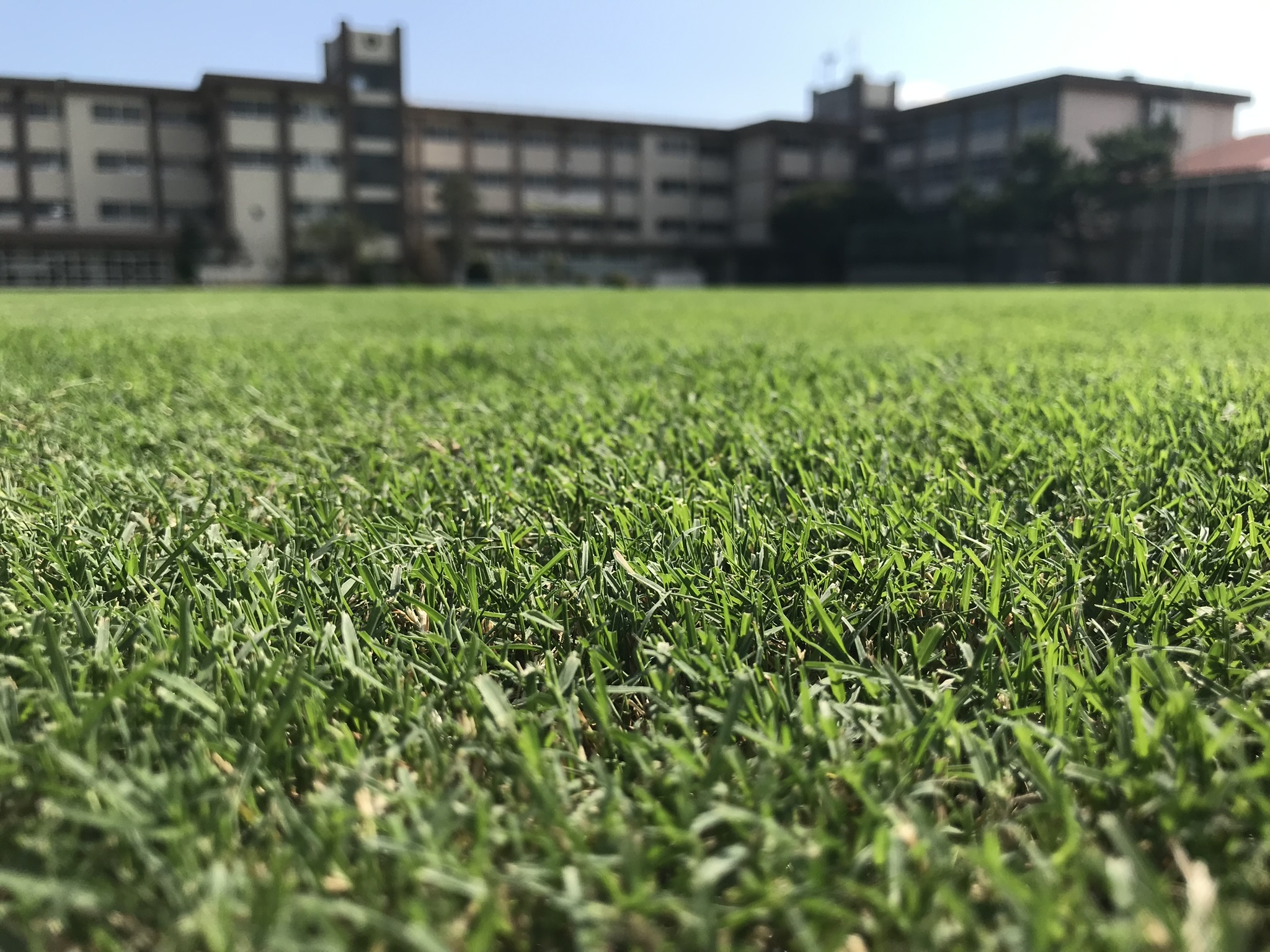 神奈川県小田原市下府中小学校