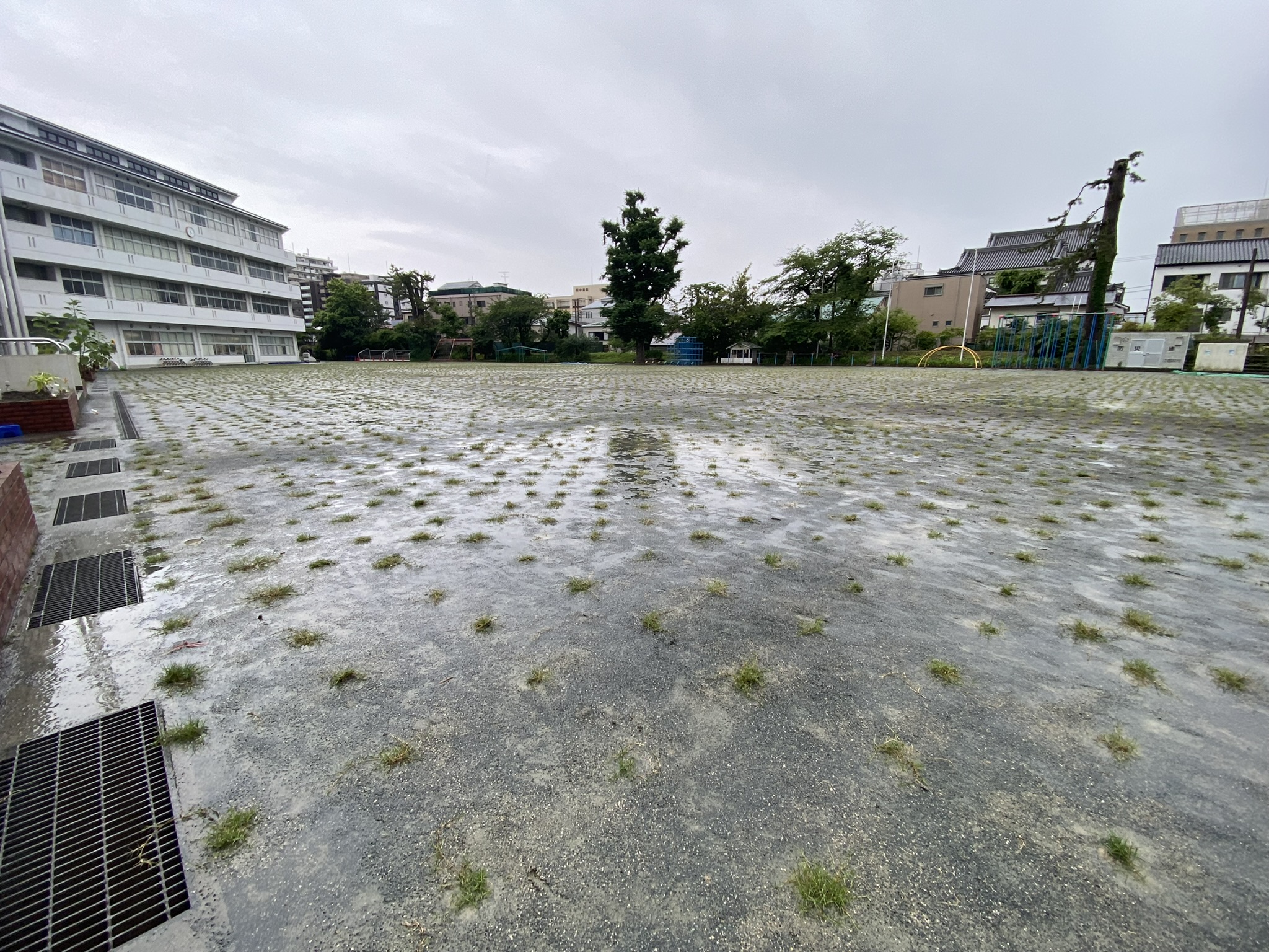 神奈川県小田原市三の丸小学校