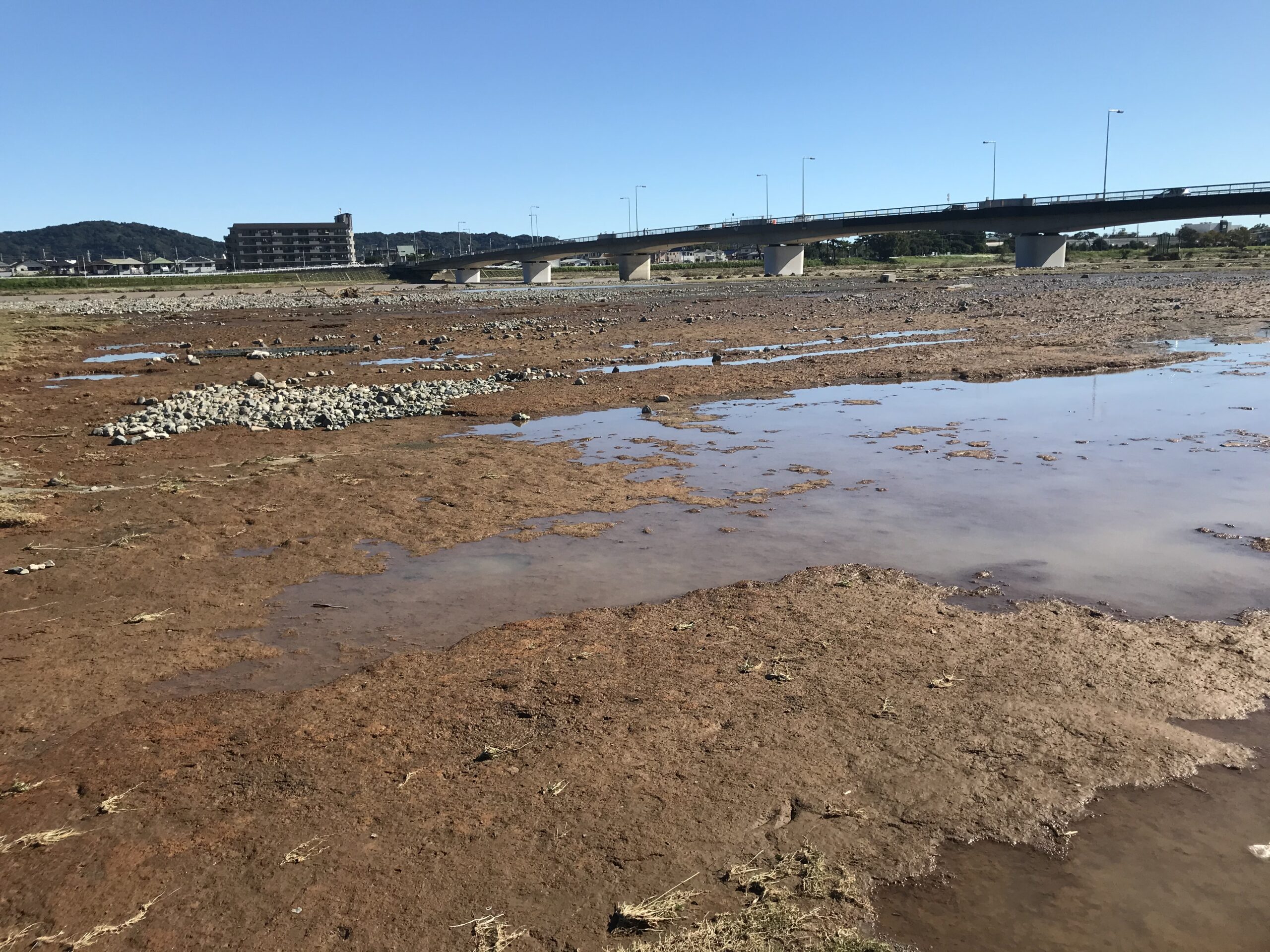 河川敷酒匂川スポーツ広場