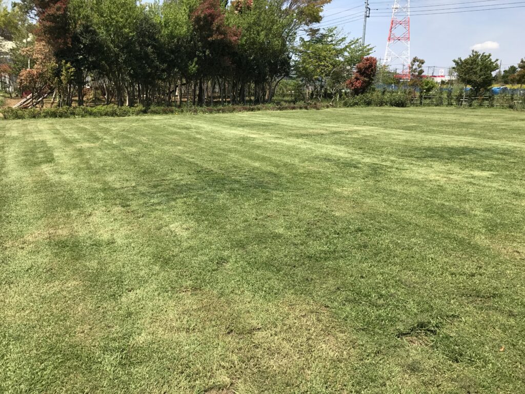 神奈川県横浜市泉区カモメパーク神奈川県サッカー協会フットボールセンター